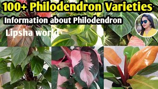 100 Philodendron Plants varieties  Philodendron Plants varietiesidentification  Lipsha world [upl. by Norrab]