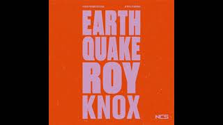 ROY KNOX  Earthquake Official instrumental [upl. by Kalasky]