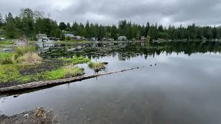 Lake Whitman Pierce County Washington July 01 2024 [upl. by Burrton]