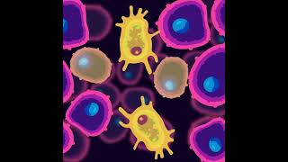 What is tumor necrosis factor alpha TNFa [upl. by Dumah131]