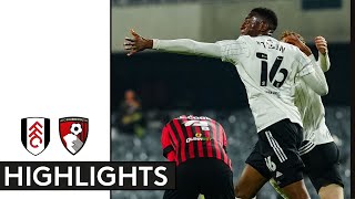 Fulham 11 Bournemouth  EFL Championship Highlights  Tosin Rescues Deserved Point [upl. by Hairam]