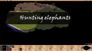 Age of Empires Tutorial  hunting Elephants [upl. by Hayidah360]