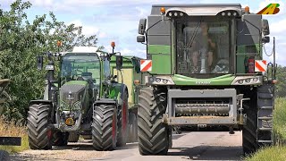 Grasernte  Gras Saatgut Landwirtschaft Mähdrescher Fendt Combine Harvester Traktor Grass Harvest [upl. by Namus458]