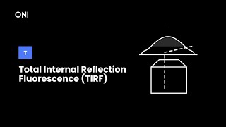 What is Total Internal Reflection Fluorescence TIRF [upl. by Stauffer988]