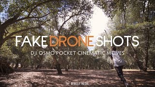 Fake Drone Shots  DJI Osmo Pocket Cinematic Moves [upl. by Maeve]