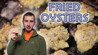 The Best Fried Oysters in the World [upl. by Jaffe]