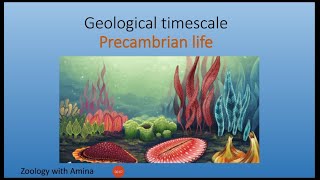 Geological timescale  Precambrian life  Zoology with Amina [upl. by Hertz]