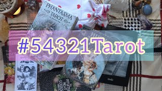 54321Tarot ¦ a VR to lilpinkbear  Decks with Jobs Surprising Books Homemade Spreads etc [upl. by Aisa]