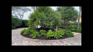 Upscale Mulch Installation [upl. by Siskind]