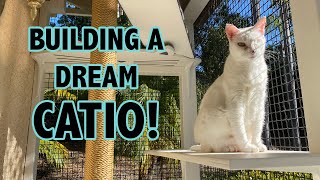 Building a Catio for my Cats From Start to Finish [upl. by Ydnamron830]