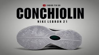 CONCHIOLIN 2023 Nike Lebron 21 OFFICIAL LOOK AND RELEASE INFORMATION [upl. by Schapira]