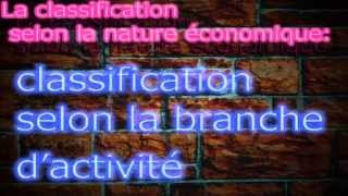 la classification des entreprises [upl. by Jeramey800]