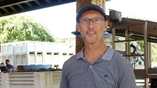 Bell Wine Cellars Harvest Update with Winemaker John Hazak [upl. by Archer150]