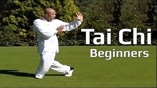 Tai chi chuan for beginners  Taiji Yang Style form Lesson 5 [upl. by Amaris]