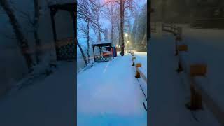 Snow Fall In Murree Hills murree snowfall travel newvideo love viewsonnewlchannel youtube [upl. by Buehrer]