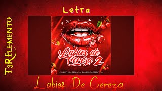 Labios De Cereza 2  T3R Elemento Video Lyrics [upl. by Eninnaj916]