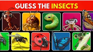 Guess the INSECTS in 3 seconds  40 Famous insects  insects quiz [upl. by Welcome625]