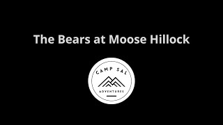 Camping with the Bears at Moose Hillock Camping Resort [upl. by Alil676]