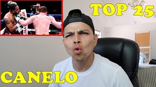 Top 25 Best Canelo Alvarez Punches HD REACTION  2018  Triple G [upl. by Ltihcox446]