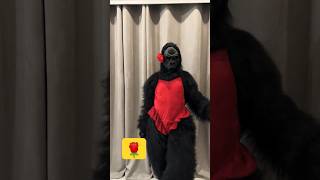 Gorilla Dance enjoy danceperformance Laugh factory Kishan [upl. by Morey]