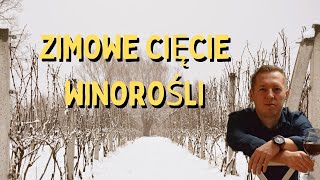 Zimowe cięcie winorośli [upl. by Suollecram]