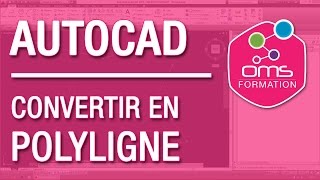 AutoCAD  Convertir en polyligne [upl. by Serdna201]