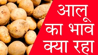 17 October 2024 aalu bhav today  all India market potato rate  aaj ka aalu ka bhav Mandi [upl. by Carrington367]