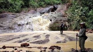 Danum Valley Borneo Malaysia  Morning jungle hike part 06  Jacuzzi Pool 2018 Dec 24 [upl. by Mindi]