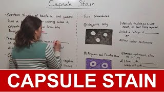 Capsule Stain [upl. by Hras]