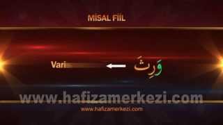 Arapça  Arapça Eğitimi  Misel Fiil  Ecvef Fiil Uygulama Video  1 [upl. by Morgana]