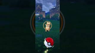 A wild Growlithe has appeared Play Catch me by pressing two times growlithe pokemongo [upl. by Eelyma72]