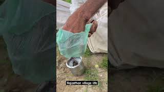 village men make for tea rajasthan trending india desertlife desertlife tea food viralvideo [upl. by Bobbette]