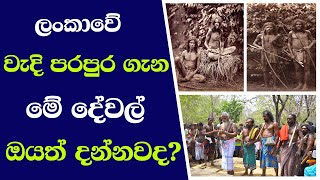 ලංකාවේ වැදි පරපුර ගැන මේ දේවල් ඔයත් දන්නවද  Vedda generation in Sri Lanka  Veddas People [upl. by Aehtna]