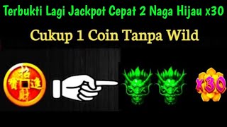 TERBUKTI LAGI JACKPOT CEPAT 2 NAGA HIJAU x30 PAKAI ROOM INI  JP DRAGON HARI INI [upl. by Luapleahcim]