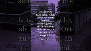 zitate sprüche lebenszitate gedanken motivationszitate motivationsspruch sad [upl. by Akienat]