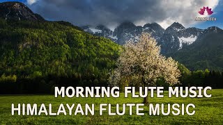 Morning Flute Music  Himalayan Flute Music  Solo flute Music  बाँसुरी Aparmita Ep 136 [upl. by Searby]