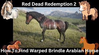 Red Dead Redemption 2 How To Find Warped Brindle Arabian Horse [upl. by Gilleod]