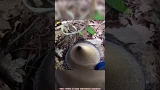 Dropping Go Pro Down A Deep Mystery Pipe 🤯 Shorts mystery [upl. by Lamhaj]