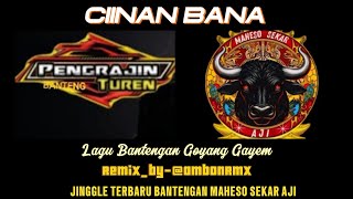 DJ BANTENGAN CIINAN BANA BANTENGAN MAHESO SEKAR AJI Remix byAmbonrmxreall [upl. by Ived303]