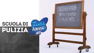 I falsi miti sulla candeggina  Scuola di Pulizia [upl. by Annodahs]