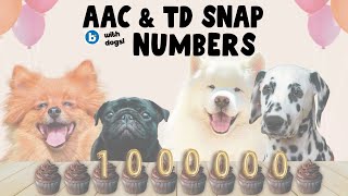 AAC Core Vocabulary and TD Snap Training Companion Tutorial [upl. by Otilegna]