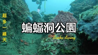 清澈悠閒的蝙蝠洞公園水肺潛水東北角20240914 [upl. by Noswad]