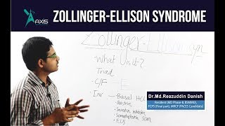 Zollinger Ellison syndrome বাংলা [upl. by Pandich]