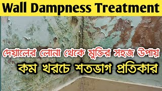 Wall dampness treatment  How to Repair Damp Wall  DAMP wall treatment লোনা কী  কীভাবে দূর করবেন [upl. by Aremihc]