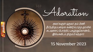 🔴 LIVE 15 November 2023 Adoration 1100 AM  Madha TV [upl. by Alekram]