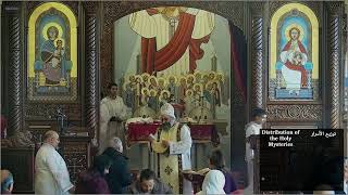 Nov 03 2024 Sunday Divine Liturgy [upl. by Asiled795]