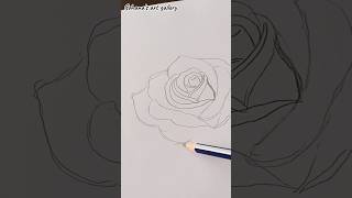 How To Draw Rose shorts rosedrawing shortsviral [upl. by Sajovich930]