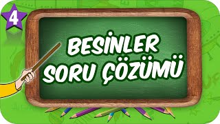 4 Sınıf Fen Besinler Soru Çözümü 2022 [upl. by Nevar]