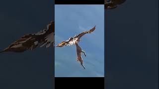 The eagle took off with a goat weighing hundreds of pounds in its mouth AnimalWorld eagle [upl. by Eintruoc]