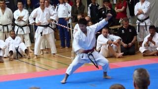 6th World Cup KWF Kata Masamichi Otsuka Round 2 [upl. by Jarrod]